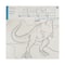 Dinosaur Canvas Set by Creatology™